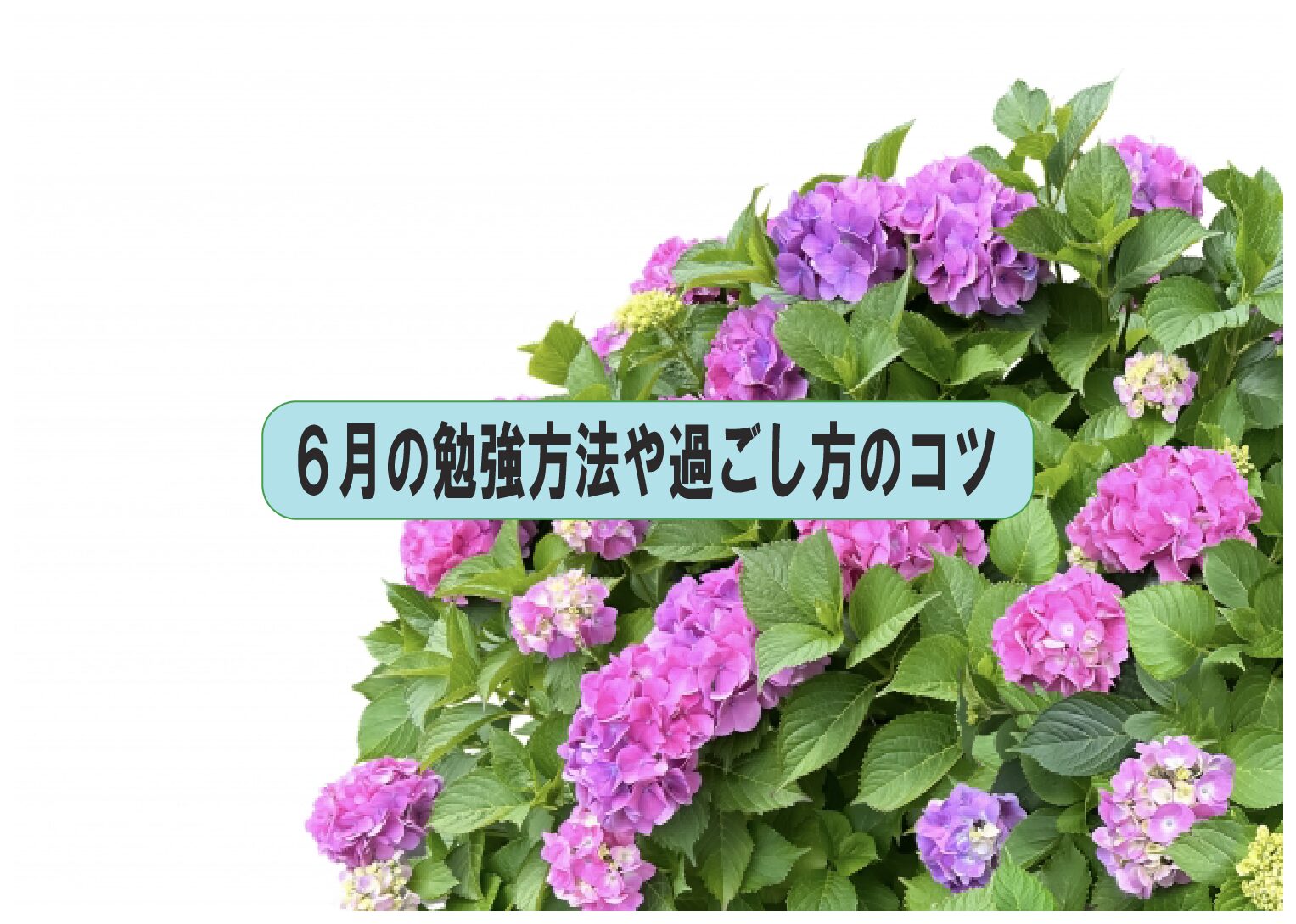 6月の勉強方法や過ごし方のコツ